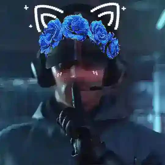 [Anon] Death Stranding CF bot Profile