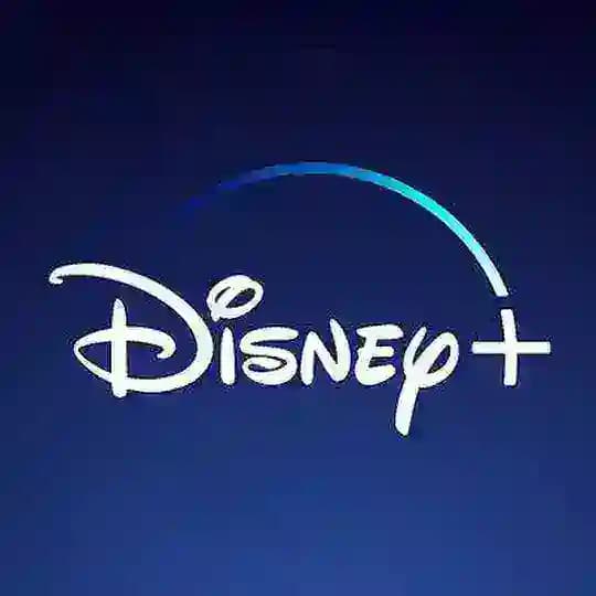 Disney Plus Profile