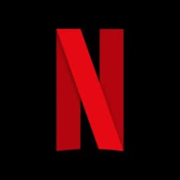 Netflix bot Profile