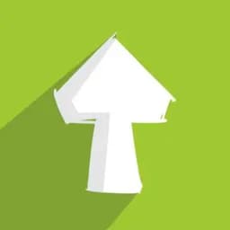 FUNGI_Youtube_bot Profile
