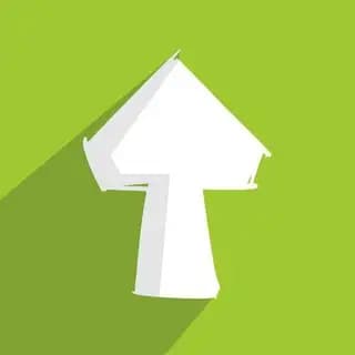 FUNGI_Youtube_bot Profile