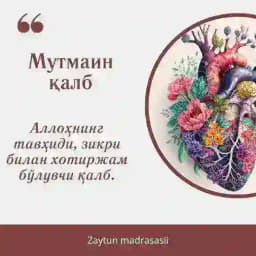 Mutmain qalb Profile