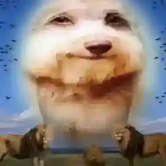 TeukiRandomVideo Profile