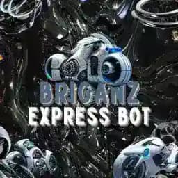 BRIGANZ EXPRESS Profile
