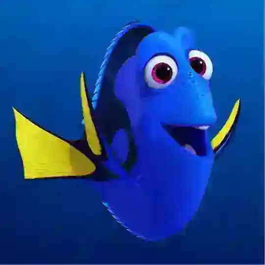 DORI Profile