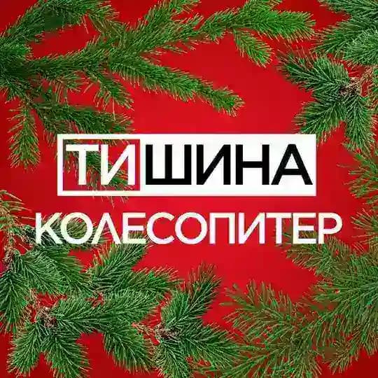 ТиШИНА КОЛЕСОПИТЕР - примерка Profile