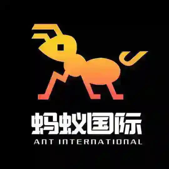 蚂蚁4.6 Profile