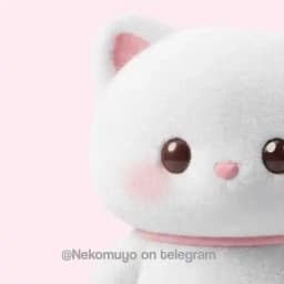 ୧☁️ 🐾: Nekomuyo ࣪ ᭝ ꒱ / ! Profile