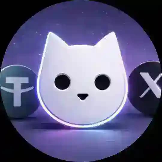 白猫工作室 Profile