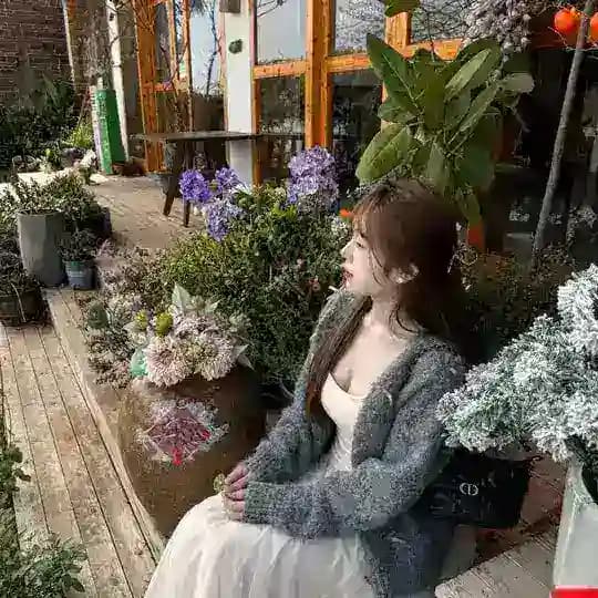 倾城的小跟班 Profile