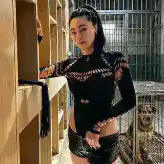 UU的皮鞭 Profile