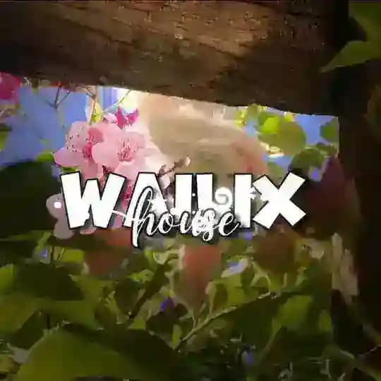 wailix.house Profile