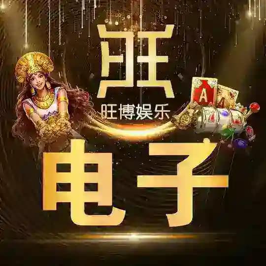 旺博娱乐电子已押80万U Profile