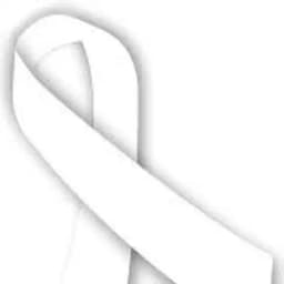 weisse_Schleife Profile