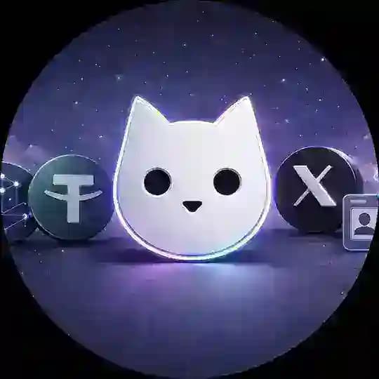 白猫工作室 Profile