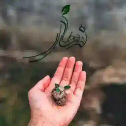 ضد ریزش نهال♥️ Profile