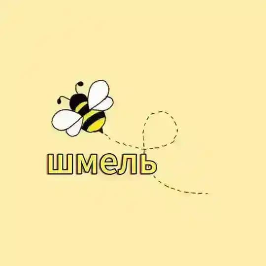 Логопедический кабинет «Шмель»
