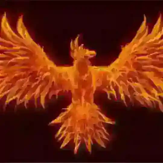 Phoenix Indicator and Strategies