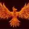 Phoenix Indicator and Strategies