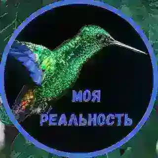 «Моя реальность»