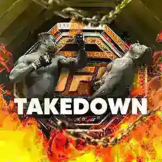 TAKEDOWN 🔥