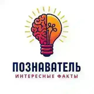 Познаватель | Интересные факты