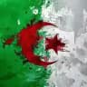 Алжир сегодня 🇩🇿