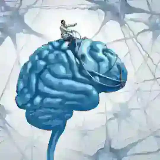 Медитация и наука Profile