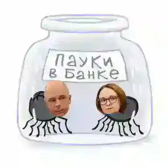 Пауки в банке
