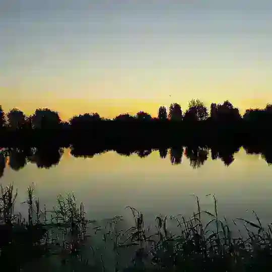 БелГородские подробности