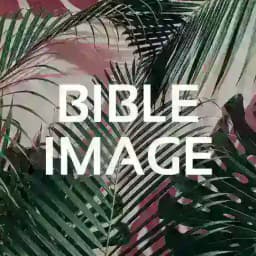 🌿 Bible Image Profile
