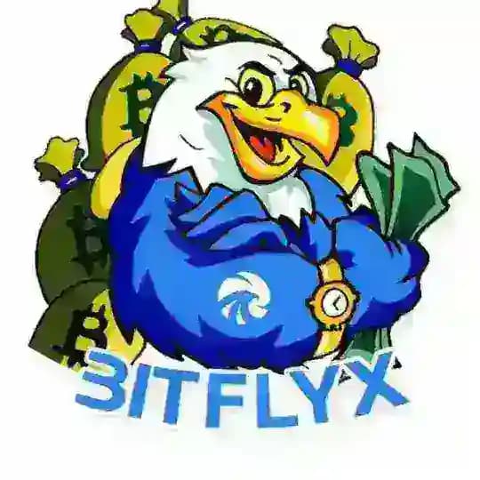 Bitflyx Analytics