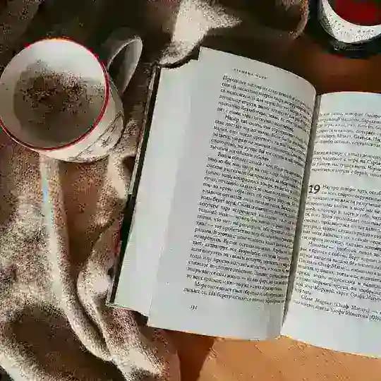Книжная полка Шмыковой