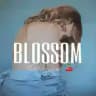 @cheklistblogger2 новый канал, вводи в поиске тeлеграма | BLOSSOM🍒 Курсы | Чек-листы