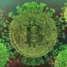 🦠 Новости COVID-19 во всем мире | 2019-nCoV | COVID-19 news around the world | Черногория