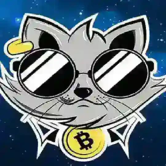 КриптоКот Profile