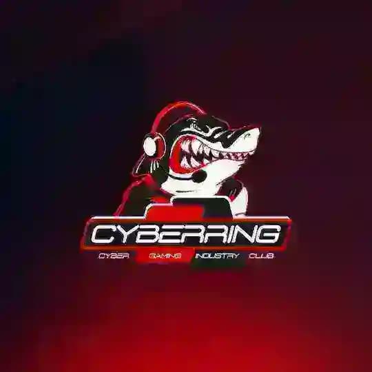 CyberRing | Рай для геймеров!
