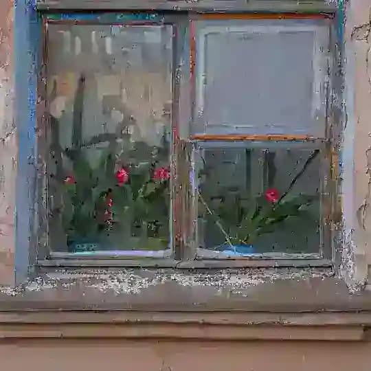Дом и соседи