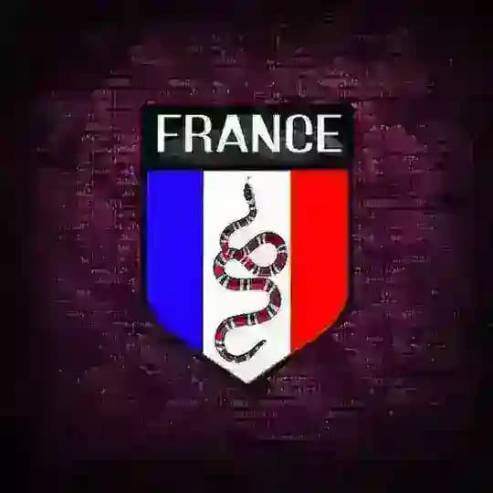 FRANCE 🇫🇷