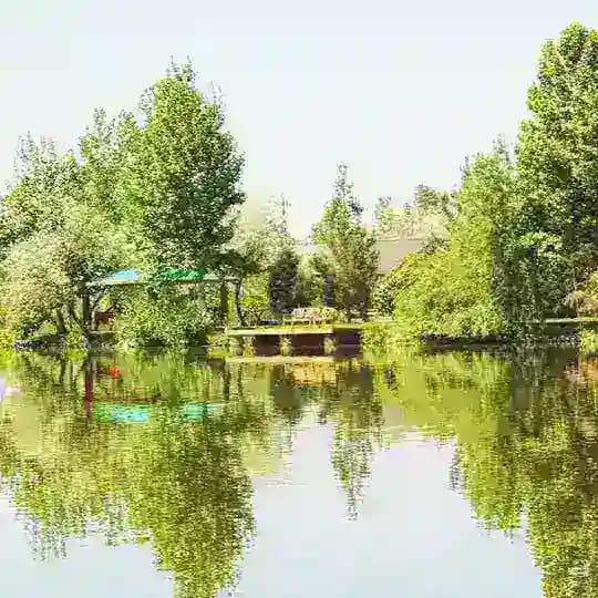 Рыболовный клуб Golden Fish
