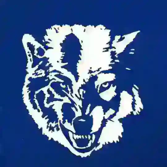 ФК «Ислочь» 🐺