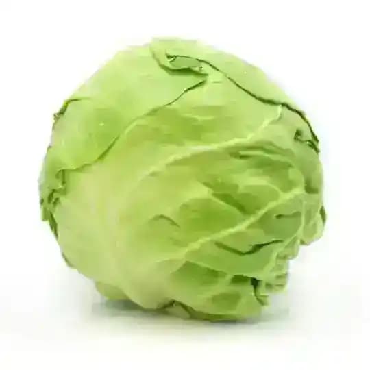 Капуста