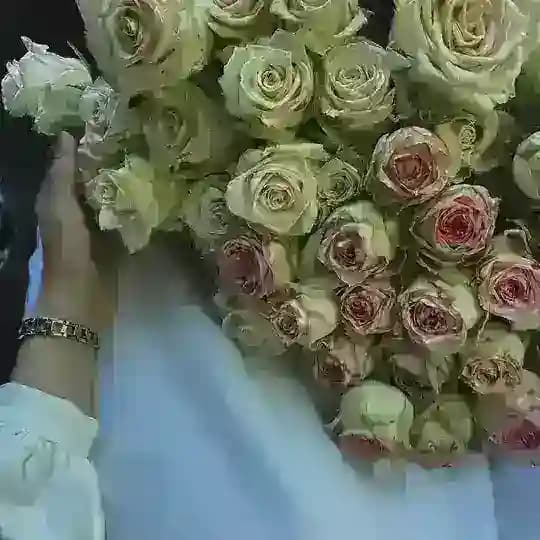 Музыка Katya Profile