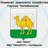 Челябинский дорожник