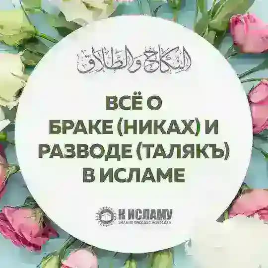 Все о браке и разводе