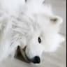 Лев Семенович каждый день