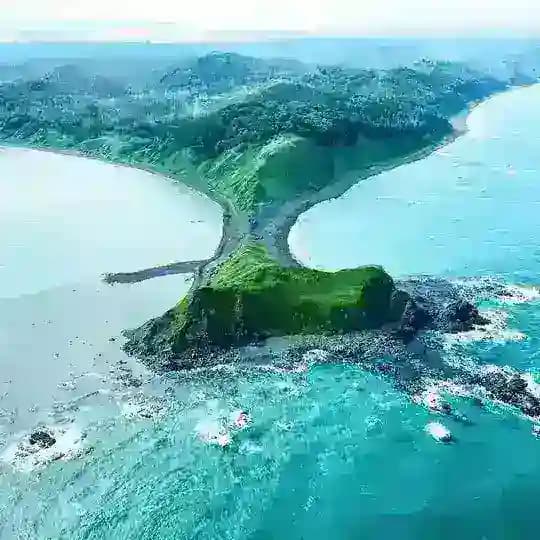 Lopushok Sakhalin
