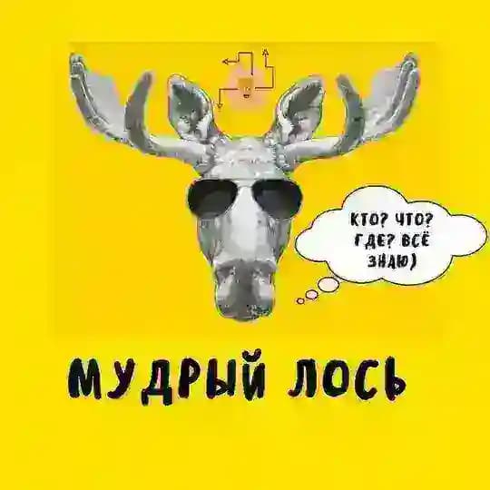 Мудрый Лось