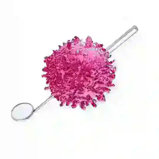Streptococcus mutans
