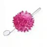 Streptococcus mutans